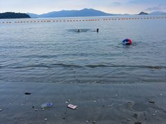 -西澳岛
