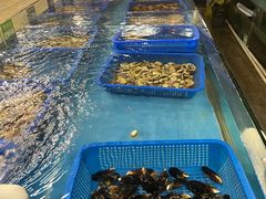 -宝燕海货工场(长江国际店)