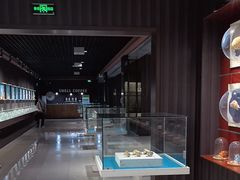 -青岛贝壳博物馆