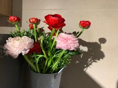 -美丽心情蛋糕(江苏路店)