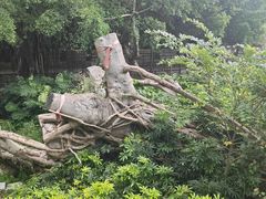 -胡里山炮台