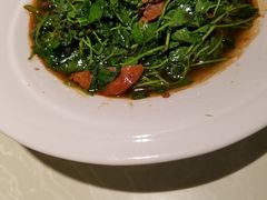 -金典银峰老鹅馆·昆山菜(亭林公园店)