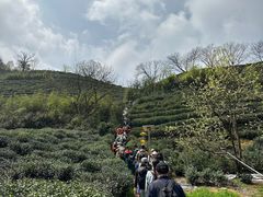 -午潮山国家森林公园