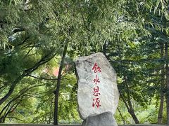 -芦芽山旅游度假区