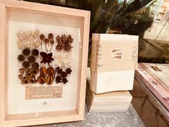 -二酉书店TOYOU BOOKS