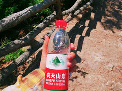 -磬锤峰森林公园