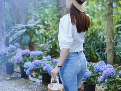 -广西壮族自治区药用植物园