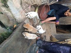 iphone_upload_pic-肇兴侗寨