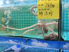 -坛南湾阿强农家乐.海鲜大排档老字号(福州地标美食店)