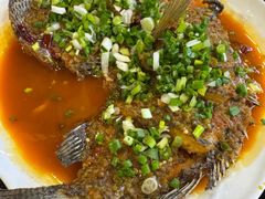 -草墩罗非鱼庄•野生菌•腊排骨(七星街上段店)