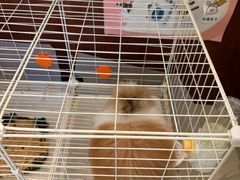 -伊顿幼儿园(天津上河雅颂校区)