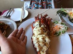 -Red Lobster