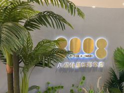 -八佰伴8008星级形象店