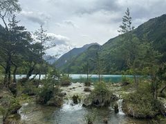 -九寨沟-树正沟