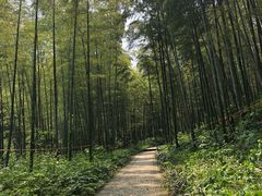 -南山风景名胜区