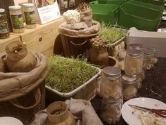 -乐咖啡西餐厅(太湖皇冠假日酒店)