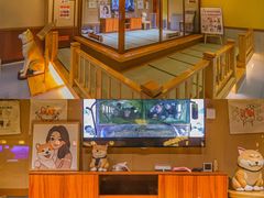 -大江户·温泉洗浴(浑南店)