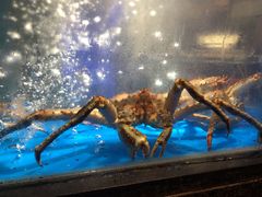 -徐记海鲜(曲江南湖店)