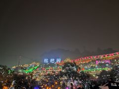 -枇杷园食为鲜火锅(南山店)