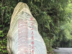 -中国大熊猫保护研究中心雅安碧峰峡基地