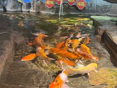 -海合安青岛极地海洋公园