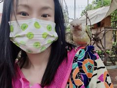 -国色天乡三期陆地乐园