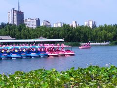 -莲花池公园