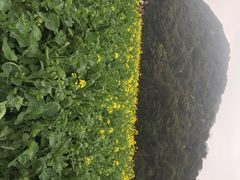 iphone_upload_pic-广州市石门国家森林公园