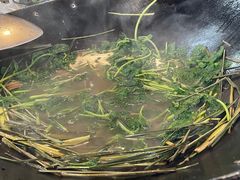 -一煲鸽