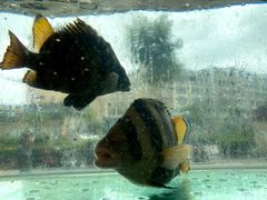 -合家小菜餐馆(新诚花苑店)