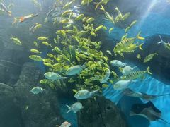 -福州罗源湾海洋世界旅游区