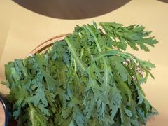 -芸鲜季·云南野生菌餐厅· 云南风物味研社(闵行店)