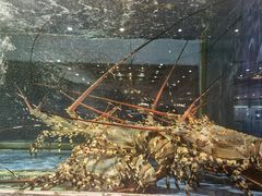 -鹏天阁酒楼·海鲜(红旗店)