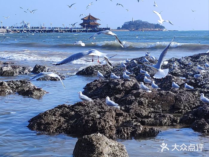 栈桥景区图片