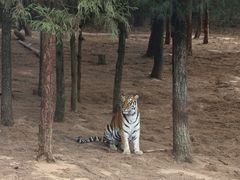 -云南野生动物园
