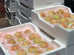 -西郊国际农产品交易中心