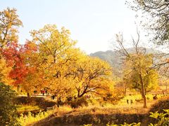 -塔川景区