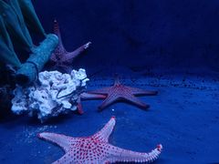 -沈阳海洋探索中心