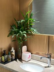 -苑苑vbeauty科技美容SPA