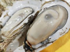 -蚝专家(北滘店)