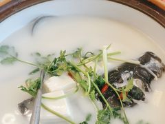 -宝荣鱼馆·临湖之宴(千岛湖店)