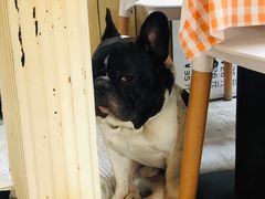 -小时光咖啡馆(北锣鼓巷店)