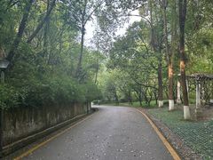 -黔灵山公园