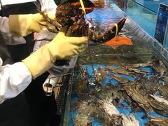-宝燕海鲜(好爱店)