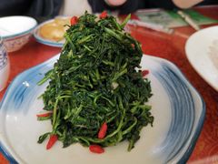 清香枸杞苗-国强手抓(北京西路店)