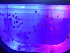 -华夏文旅西安度假区