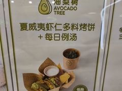 -油梨树AVOCADO TREE(望京店)