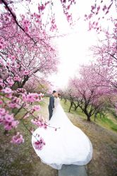 -韩国色色婚纱摄影(好评优选店)