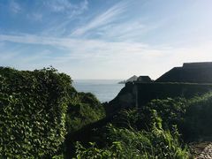 -枸杞岛
