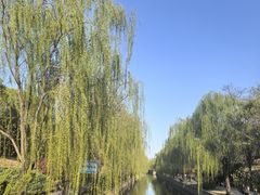-元大都城垣遗址公园